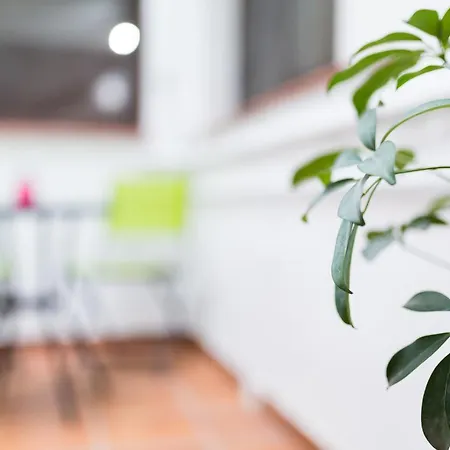 Geysotur Porta Novas Apartamento Córdoba