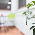 Geysotur Porta Novas Apartmán Córdoba